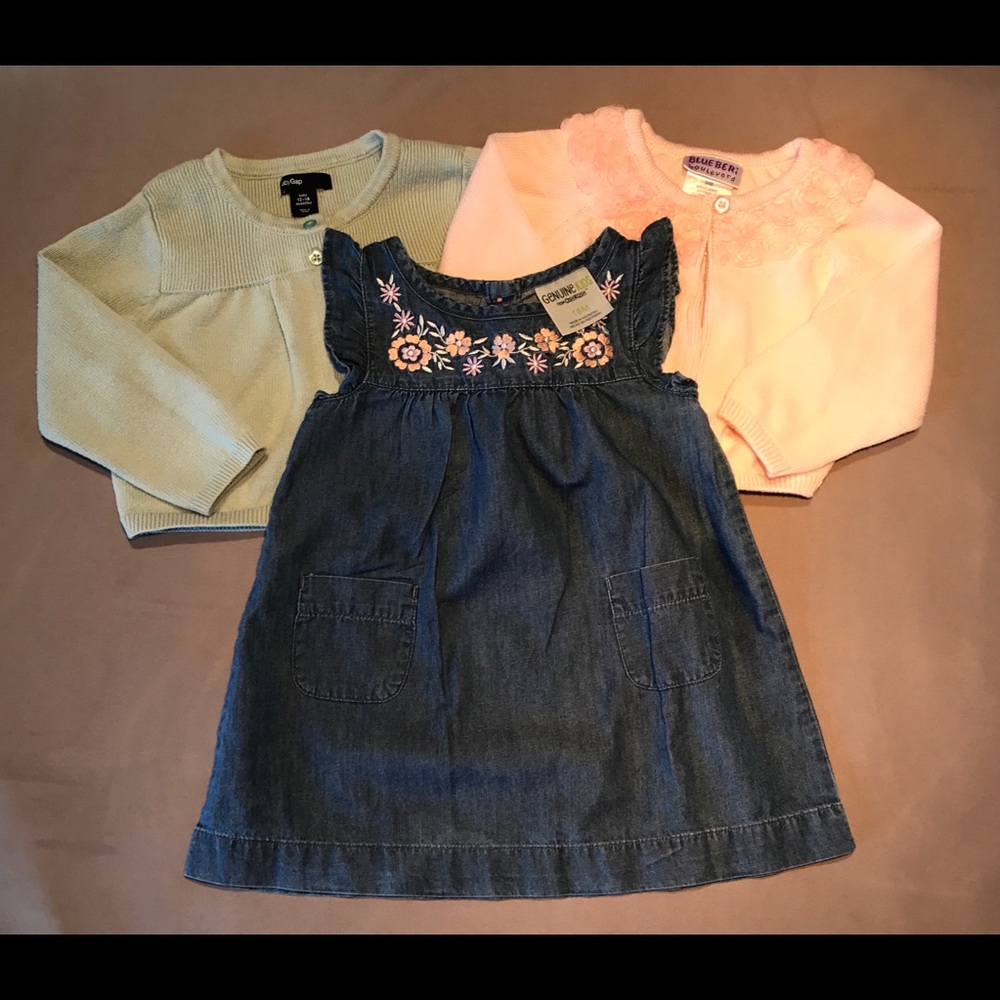 Baby Gap Blueberi Boulevard Sweater Dress Set 12mo